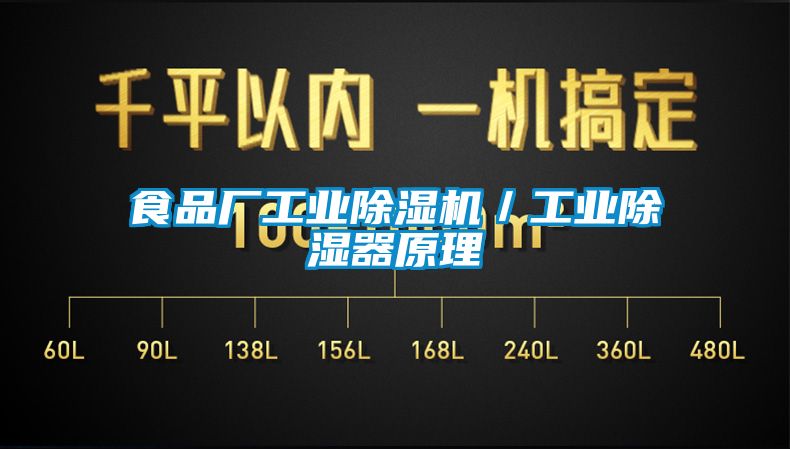食品廠(chǎng)工業(yè)除濕機／工業(yè)除濕器原理