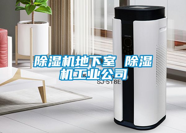 除濕機地下室 除濕機工業(yè)公司
