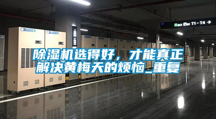 除濕機選得好，才能真正解決黃梅天的煩惱_重復