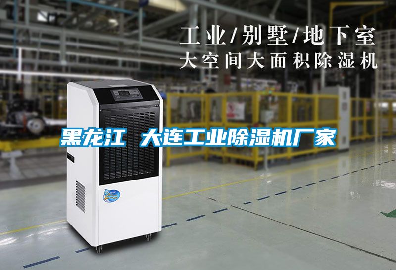 黑龍江 大連工業(yè)除濕機廠(chǎng)家