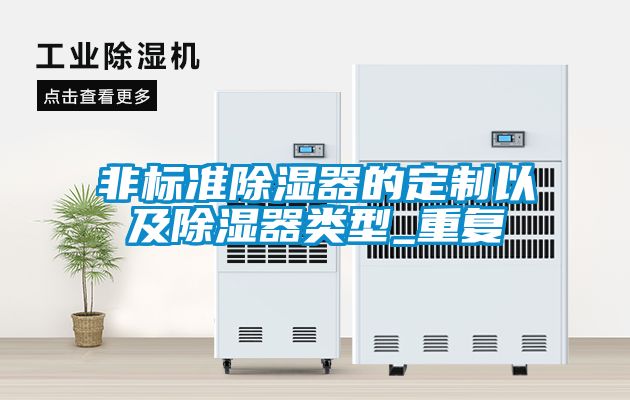 非標準除濕器的定制以及除濕器類(lèi)型_重復
