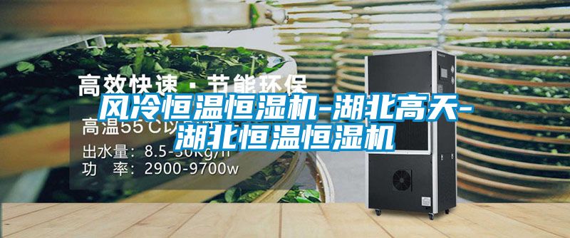風(fēng)冷恒溫恒濕機-湖北高天-湖北恒溫恒濕機