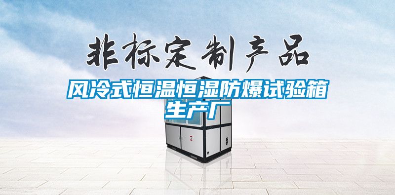 風(fēng)冷式恒溫恒濕防爆試驗箱生產(chǎn)廠(chǎng)