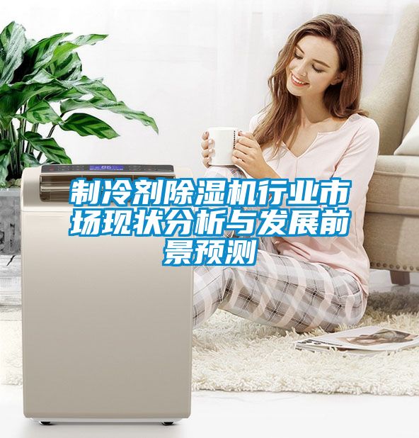 制冷劑除濕機行業(yè)市場(chǎng)現狀分析與發(fā)展前景預測
