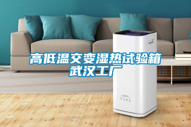 高低溫交變濕熱試驗箱武漢工廠(chǎng)