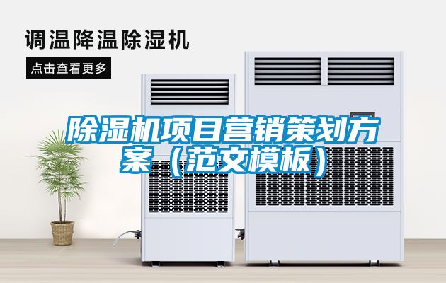 除濕機項目營(yíng)銷(xiāo)策劃方案（范文模板）