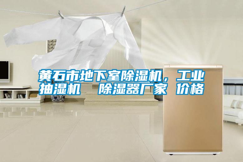 黃石市地下室除濕機，工業(yè)抽濕機  除濕器廠(chǎng)家 價(jià)格