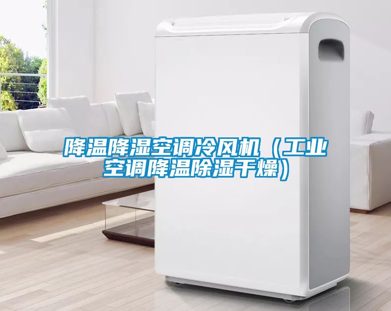 降溫降濕空調冷風(fēng)機（工業(yè)空調降溫除濕干燥）