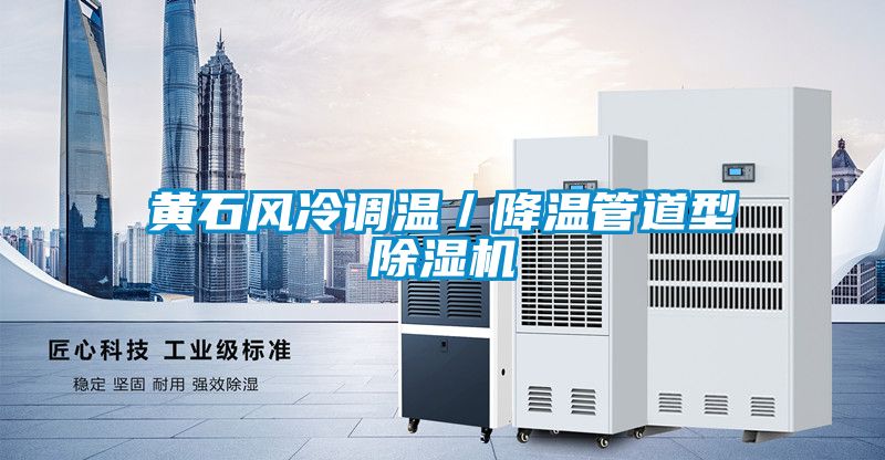 黃石風(fēng)冷調溫／降溫管道型除濕機