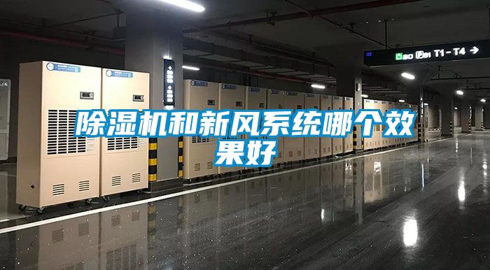 除濕機和新風(fēng)系統哪個(gè)效果好