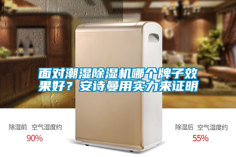 面對潮濕除濕機哪個(gè)牌子效果好？安詩(shī)曼用實(shí)力來(lái)證明