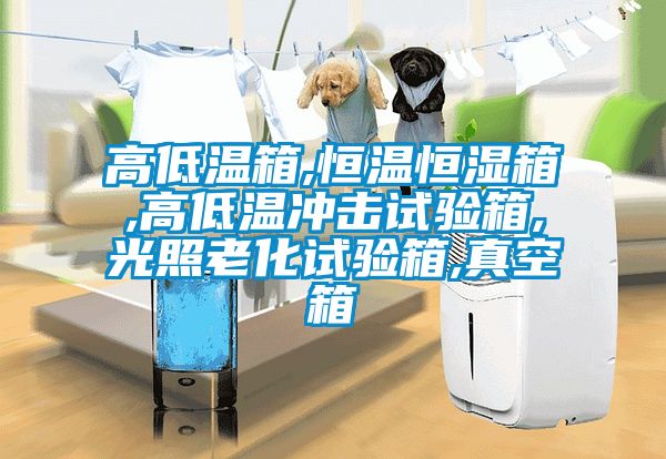 高低溫箱,恒溫恒濕箱,高低溫沖擊試驗箱,光照老化試驗箱,真空箱