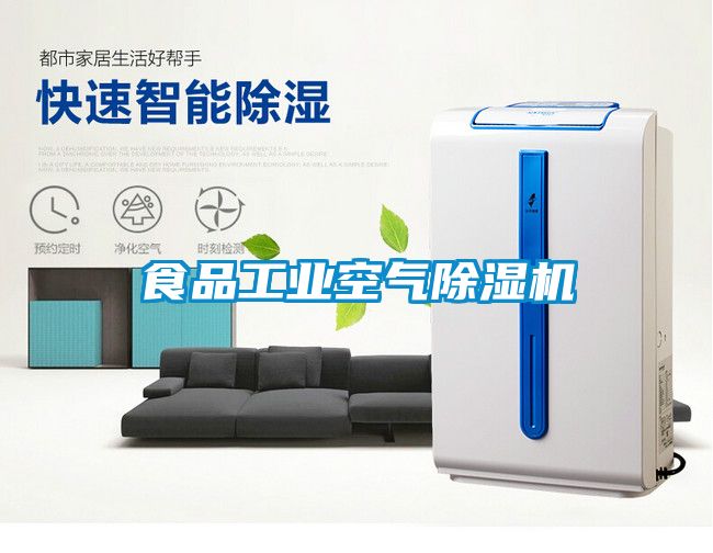 食品工業(yè)空氣除濕機