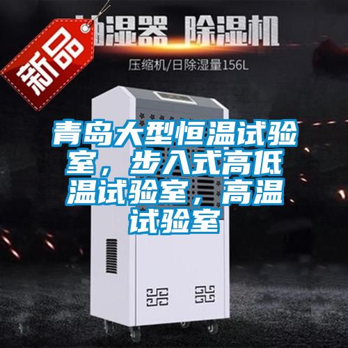 青島大型恒溫試驗室，步入式高低溫試驗室，高溫試驗室