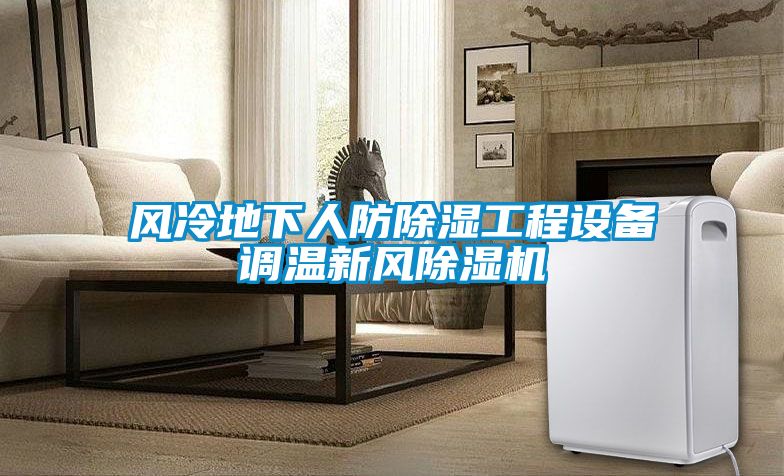 風(fēng)冷地下人防除濕工程設備調溫新風(fēng)除濕機