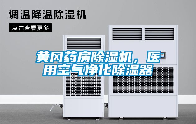 黃岡藥房除濕機，醫用空氣凈化除濕器