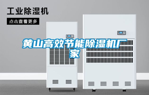 黃山高效節能除濕機廠(chǎng)家