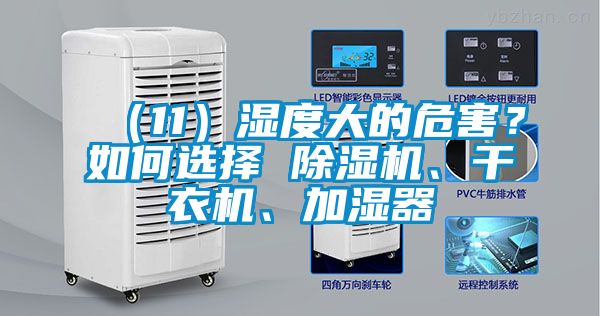 （11）濕度大的危害？如何選擇 除濕機、干衣機、加濕器