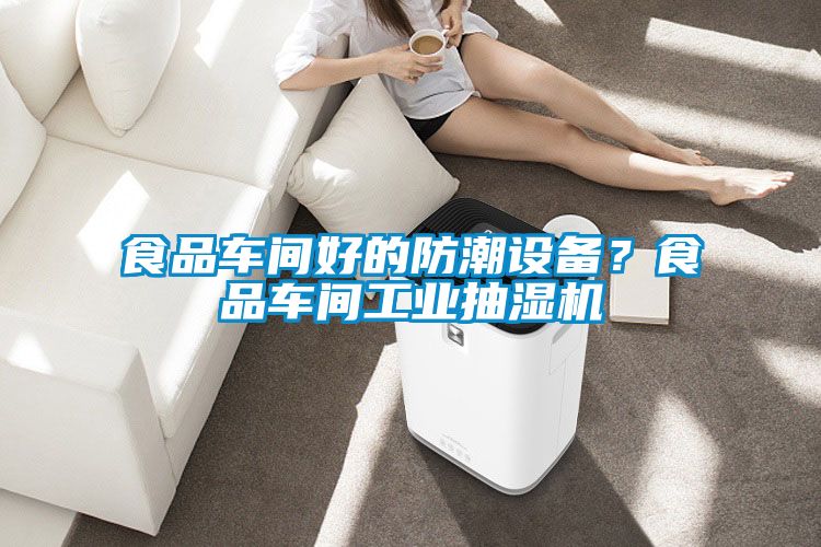 食品車(chē)間好的防潮設備？食品車(chē)間工業(yè)抽濕機