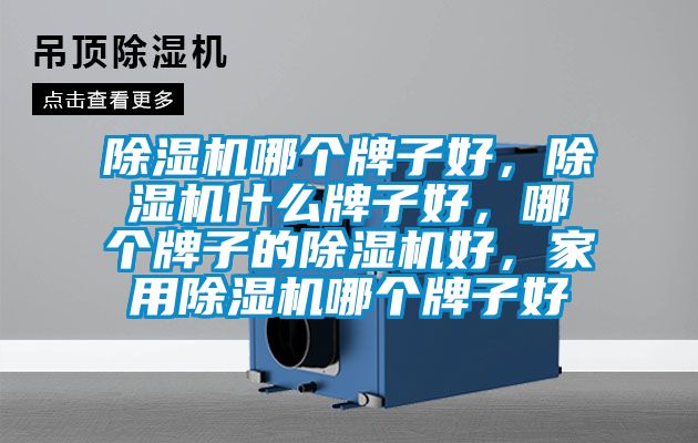 除濕機哪個(gè)牌子好，除濕機什么牌子好，哪個(gè)牌子的除濕機好，家用除濕機哪個(gè)牌子好