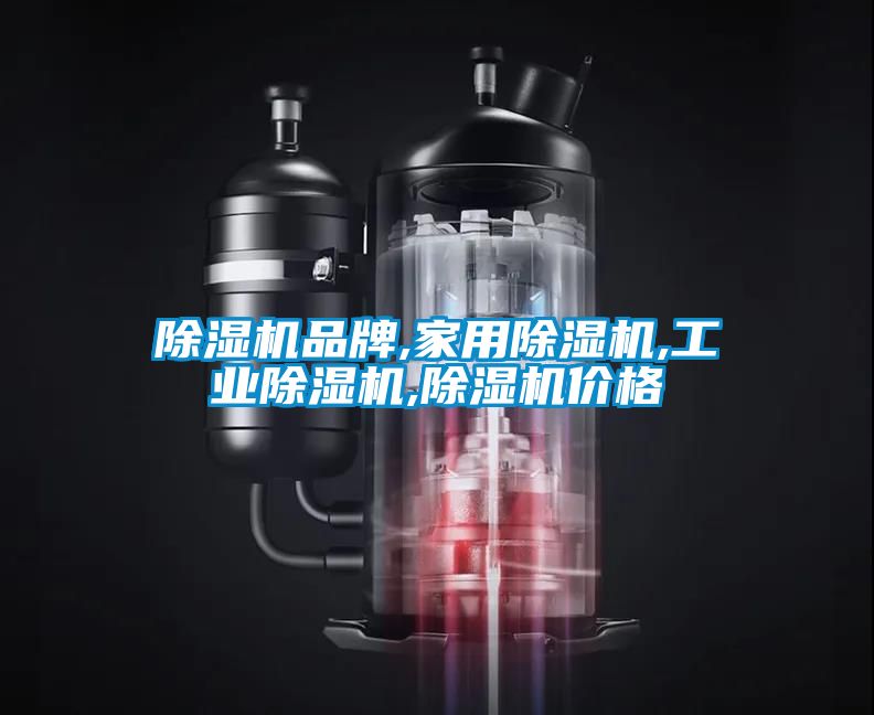 除濕機品牌,家用除濕機,工業(yè)除濕機,除濕機價(jià)格
