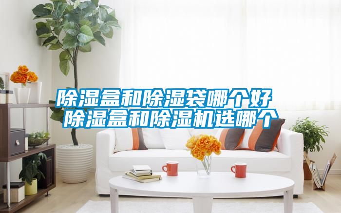 除濕盒和除濕袋哪個(gè)好 除濕盒和除濕機選哪個(gè)