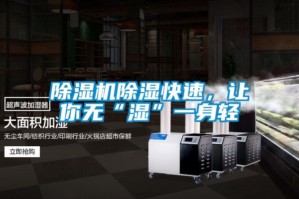 除濕機除濕快速，讓你無(wú)“濕”一身輕