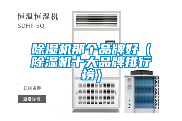 除濕機那個(gè)品牌好（除濕機十大品牌排行榜）