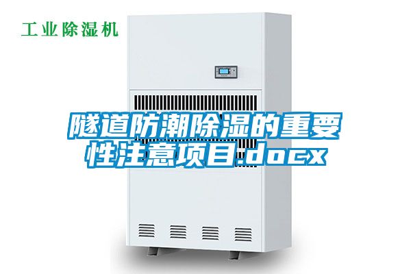 隧道防潮除濕的重要性注意項目.docx