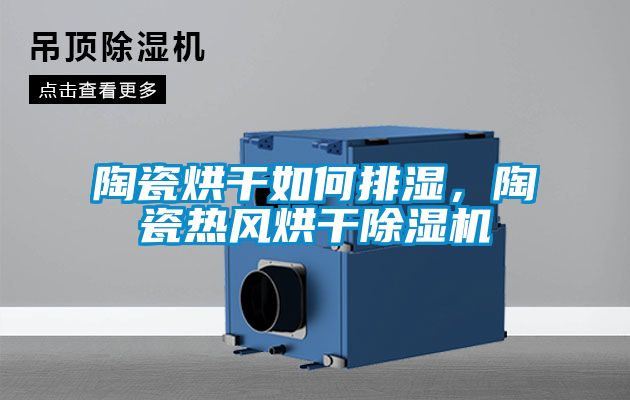 陶瓷烘干如何排濕，陶瓷熱風(fēng)烘干除濕機