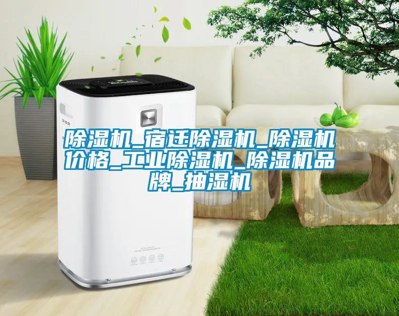 除濕機_宿遷除濕機_除濕機價(jià)格_工業(yè)除濕機_除濕機品牌_抽濕機