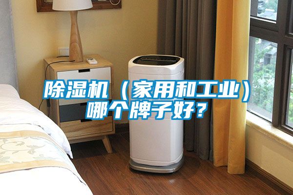 除濕機（家用和工業(yè)）哪個(gè)牌子好？