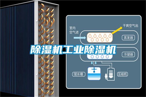 除濕機工業(yè)除濕機