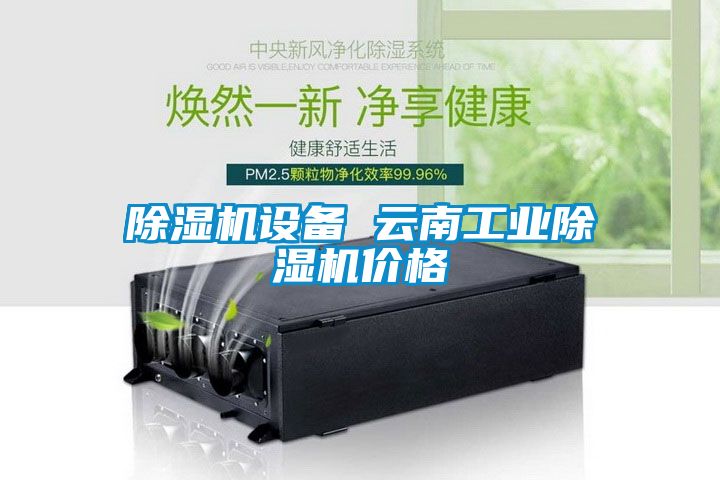 除濕機設備 云南工業(yè)除濕機價(jià)格