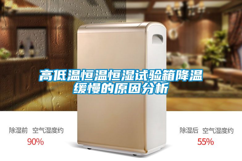 高低溫恒溫恒濕試驗箱降溫緩慢的原因分析