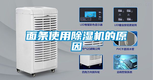 面條使用除濕機的原因
