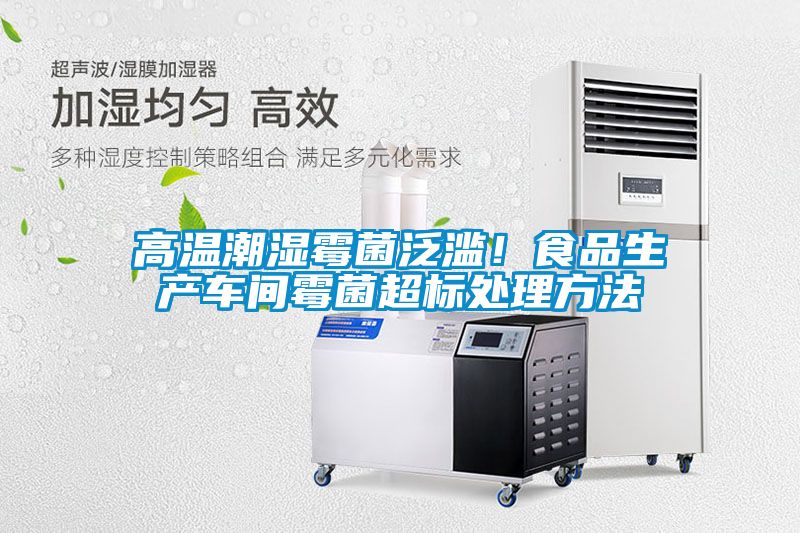 高溫潮濕霉菌泛濫！食品生產(chǎn)車(chē)間霉菌超標處理方法