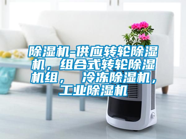 除濕機-供應轉輪除濕機，組合式轉輪除濕機組， 冷凍除濕機，工業(yè)除濕機