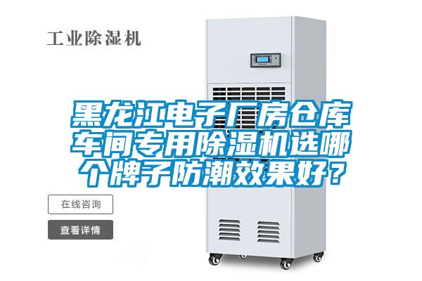 黑龍江電子廠(chǎng)房倉庫車(chē)間專(zhuān)用除濕機選哪個(gè)牌子防潮效果好？