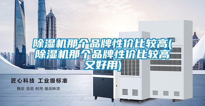 除濕機那個(gè)品牌性?xún)r(jià)比較高(除濕機那個(gè)品牌性?xún)r(jià)比較高又好用)