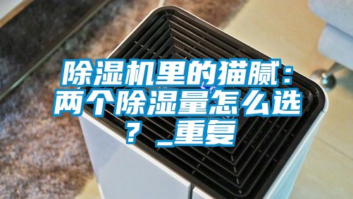 除濕機里的貓膩：兩個(gè)除濕量怎么選？_重復