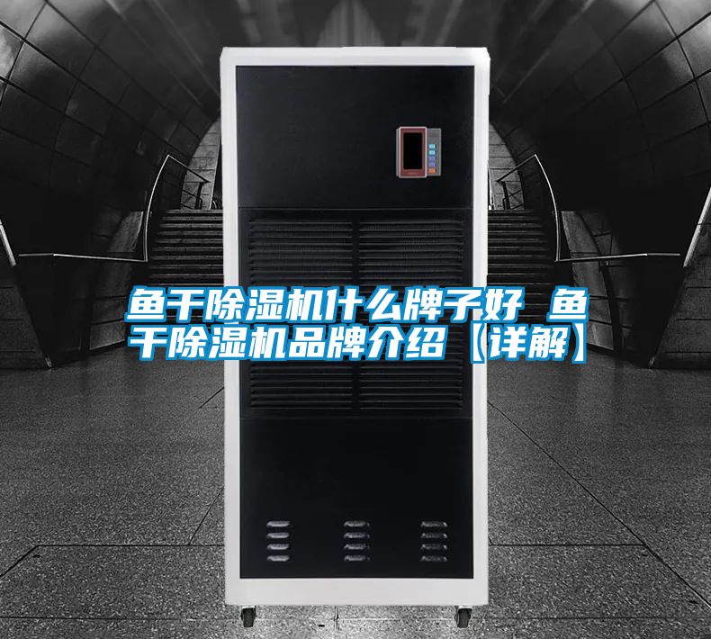 魚(yú)干除濕機什么牌子好 魚(yú)干除濕機品牌介紹【詳解】