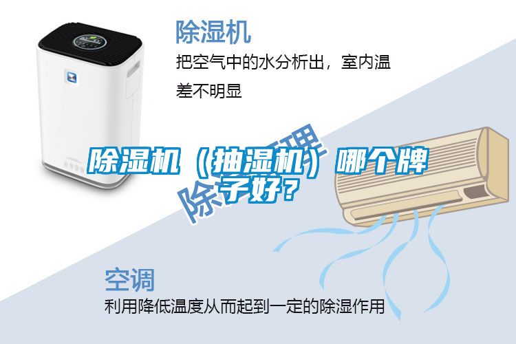 除濕機（抽濕機）哪個(gè)牌子好？