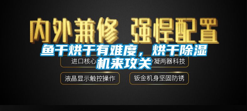 魚(yú)干烘干有難度，烘干除濕機來(lái)攻關(guān)