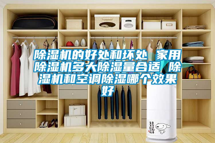 除濕機的好處和壞處 家用除濕機多大除濕量合適 除濕機和空調除濕哪個(gè)效果好