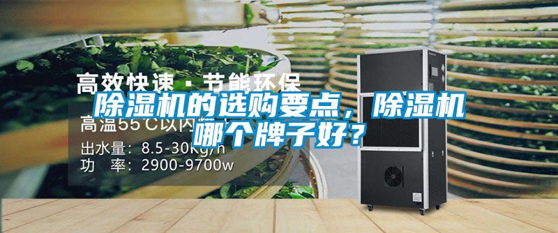 除濕機的選購要點(diǎn)，除濕機哪個(gè)牌子好？