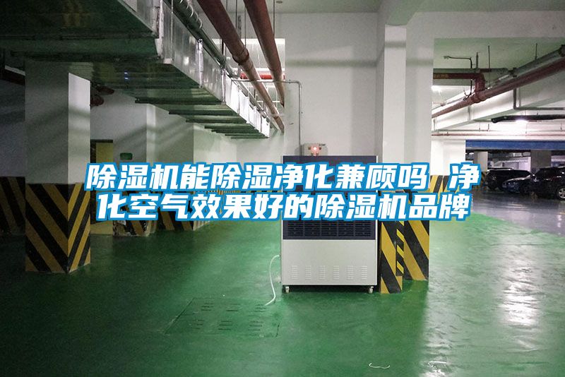 除濕機能除濕凈化兼顧嗎 凈化空氣效果好的除濕機品牌