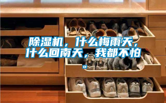 除濕機，什么梅雨天，什么回南天，我都不怕。