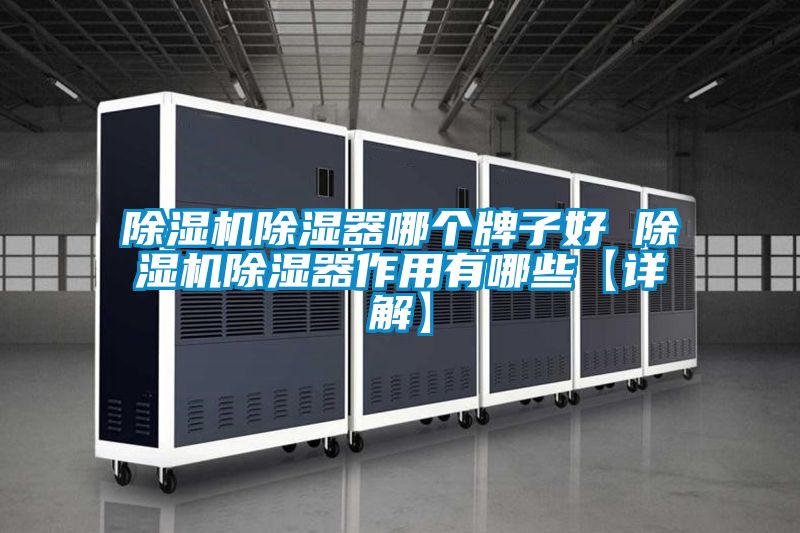 除濕機除濕器哪個(gè)牌子好 除濕機除濕器作用有哪些【詳解】