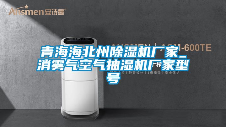 青海海北州除濕機廠(chǎng)家_消霧氣空氣抽濕機廠(chǎng)家型號